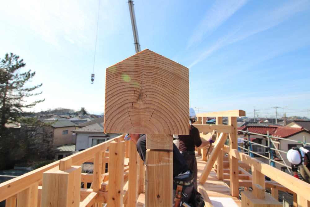 １階、２階と組み終わり、 屋根が乗っかる小屋組みの状況です。 建物の一番高い所、棟木が上がりました。