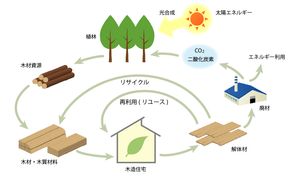 木材利用の流れ