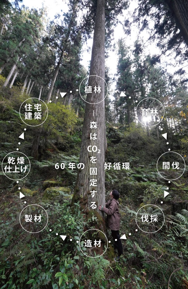木は循環する資源