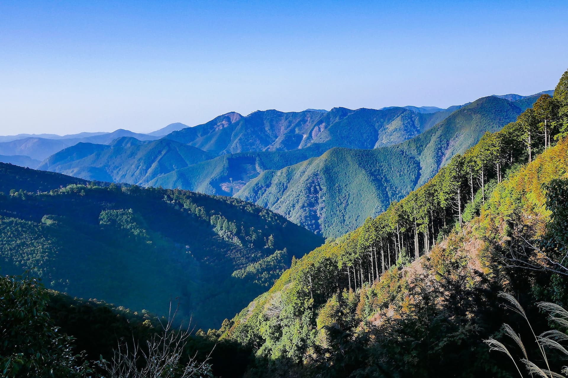 紀州の山々