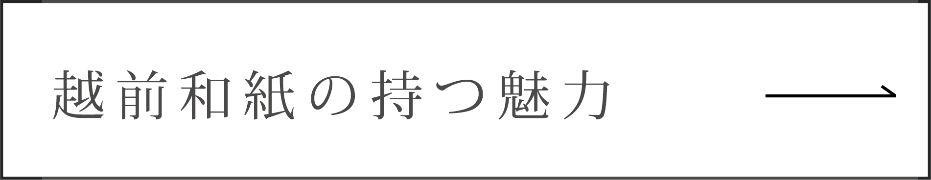 越前和紙の持つ魅力