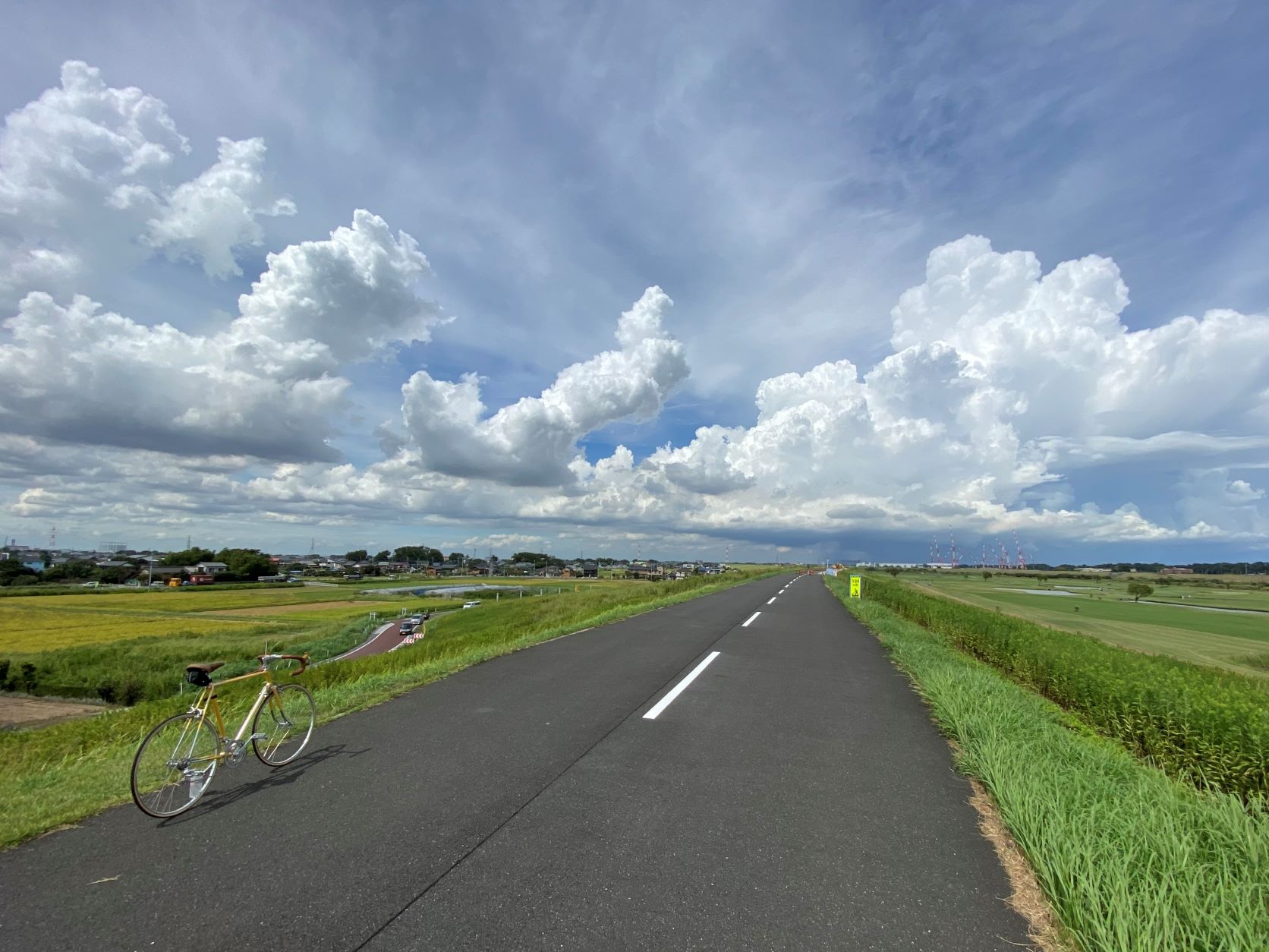 サイクリングコース