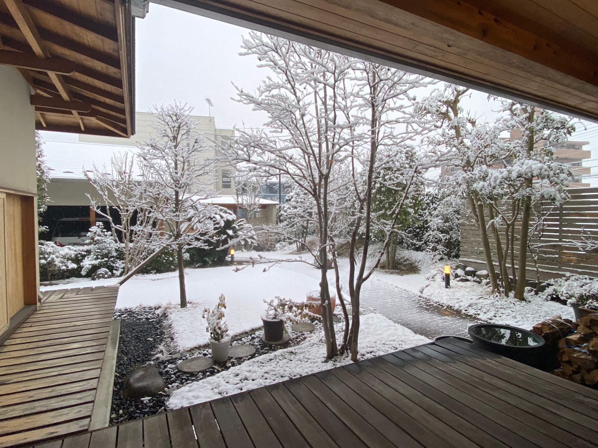 雪化粧の庭