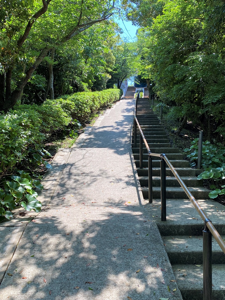 展望台