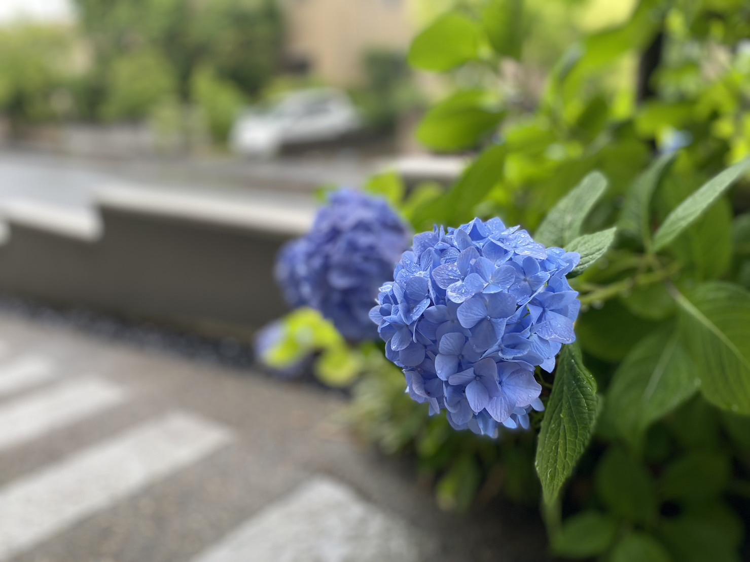 梅雨も快適な自然素材の家