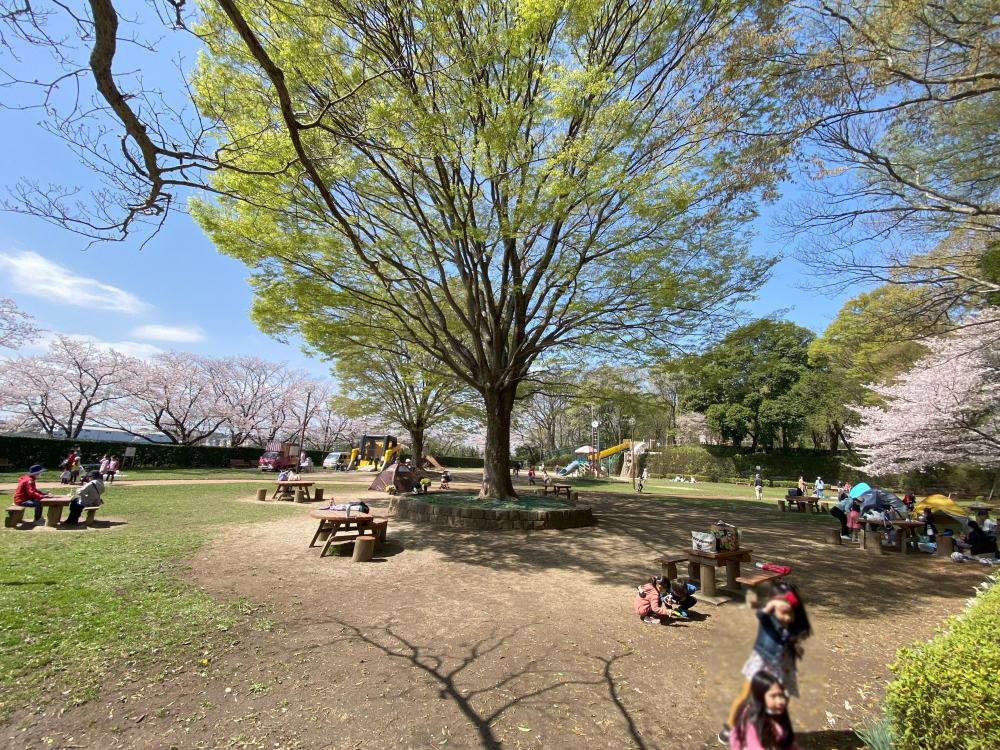 内牧公園アスレチック