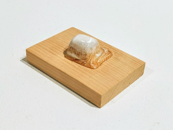 木彫りの物 今SNSで話題の木彫りアーティスト!キボリノコンノさんの「どっち?展