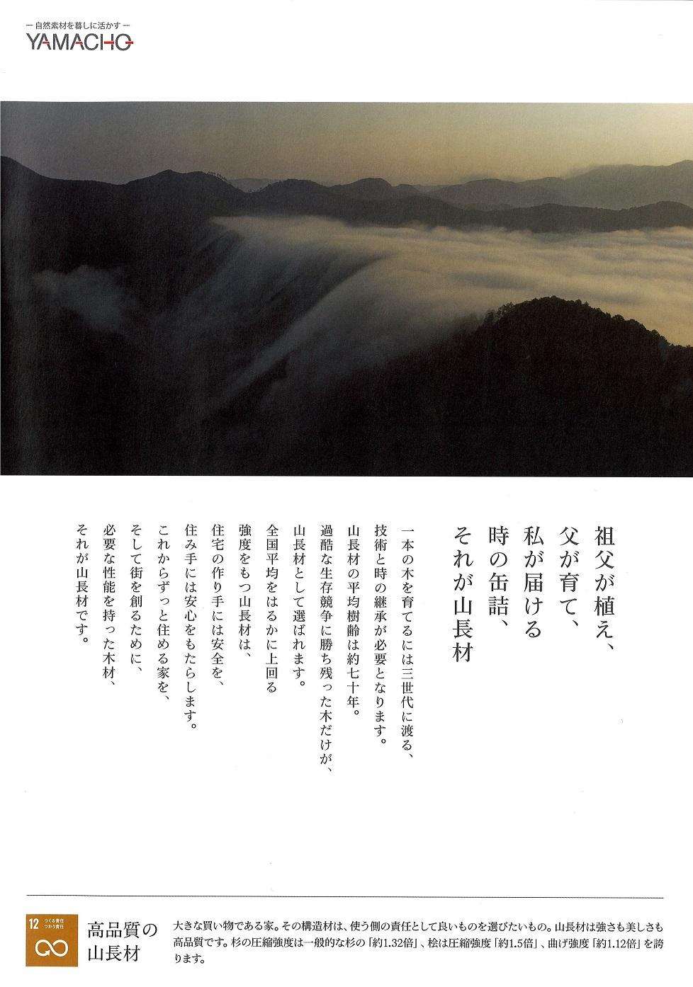 山長材