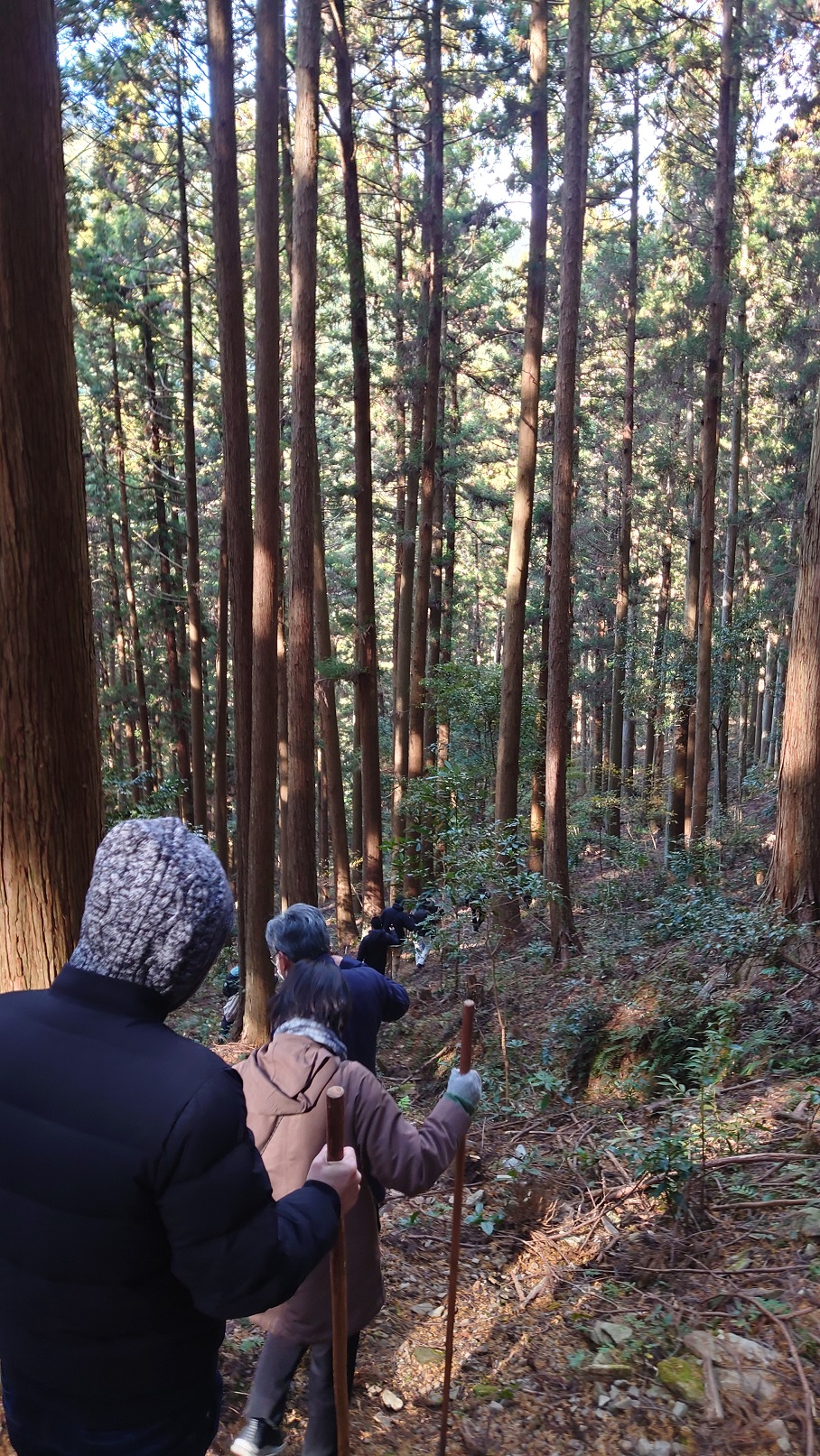 山歩き
