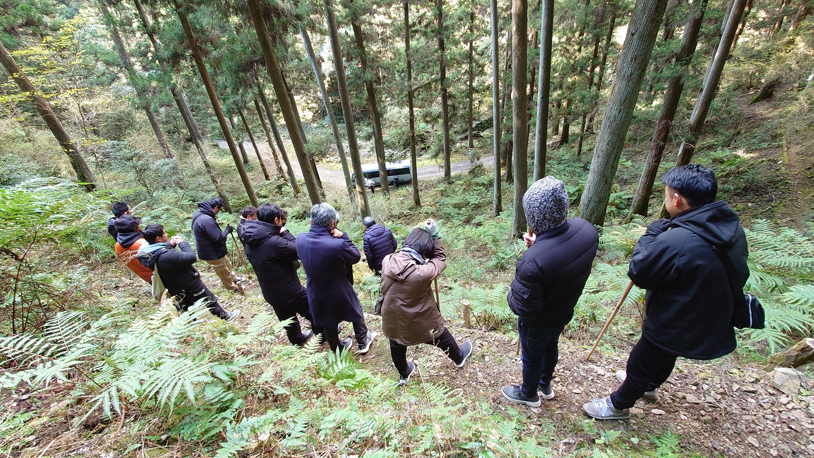 紀州の山