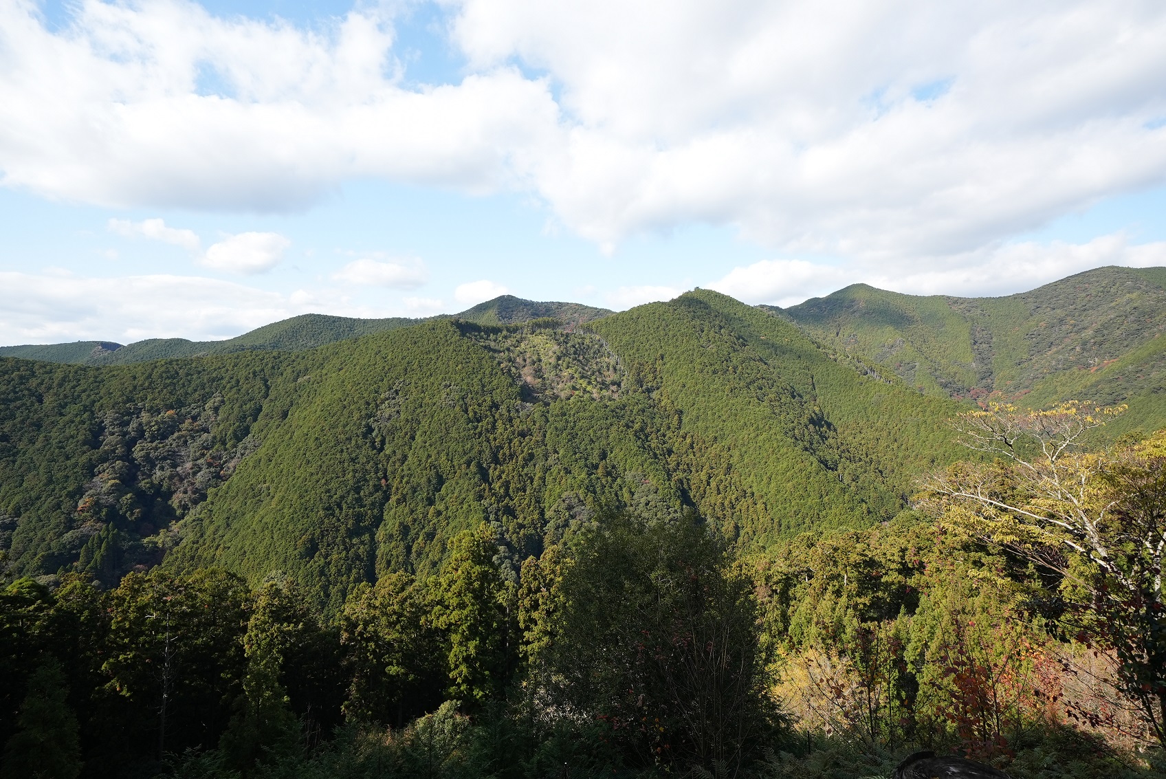 山長商店所有林