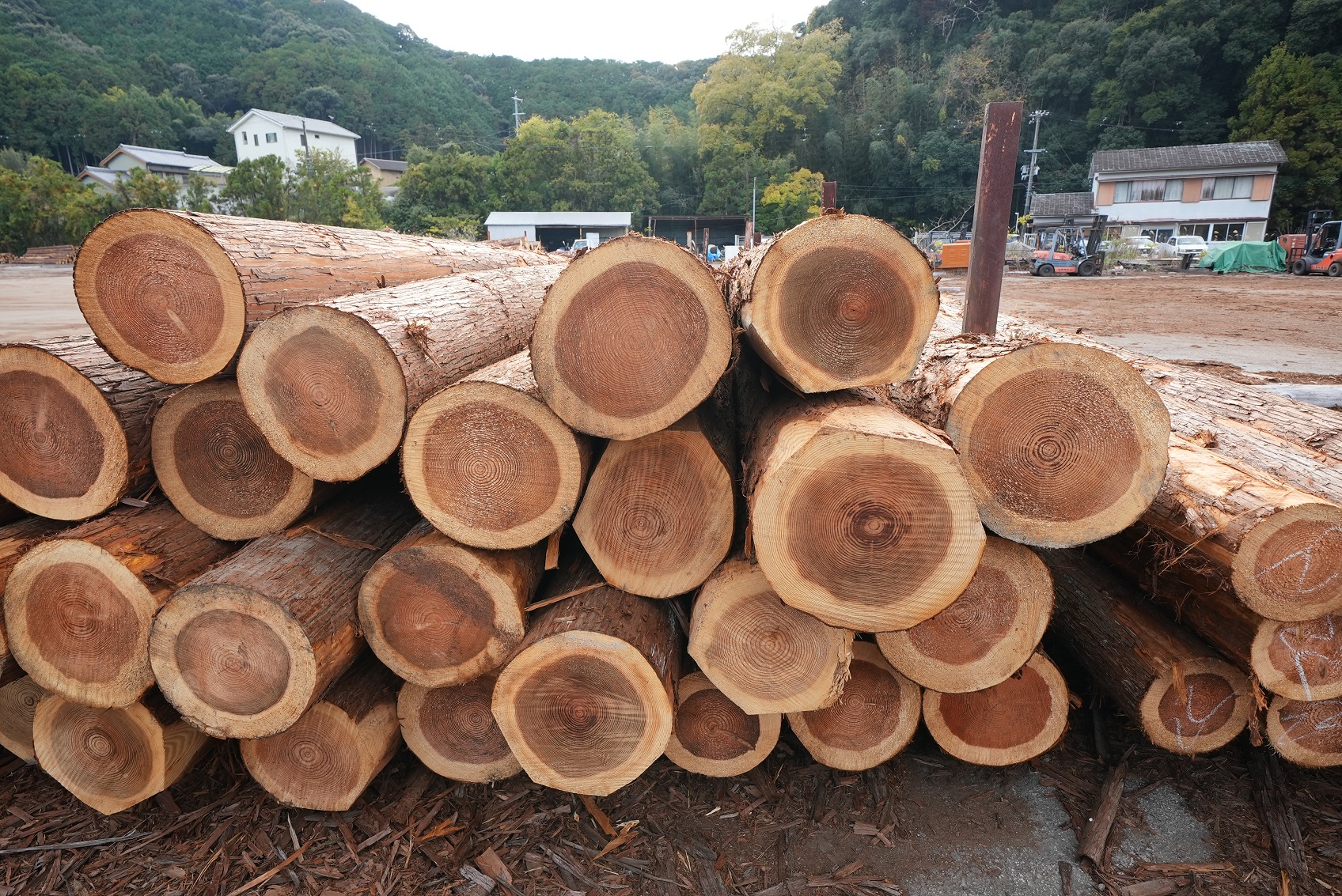 目込み材