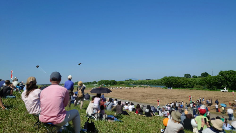 土手から見た大凧