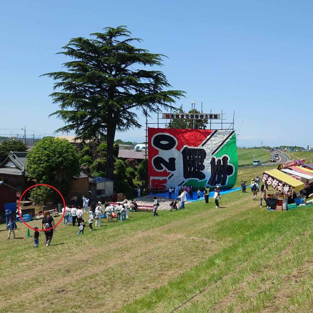 大凧あげ祭りの様子