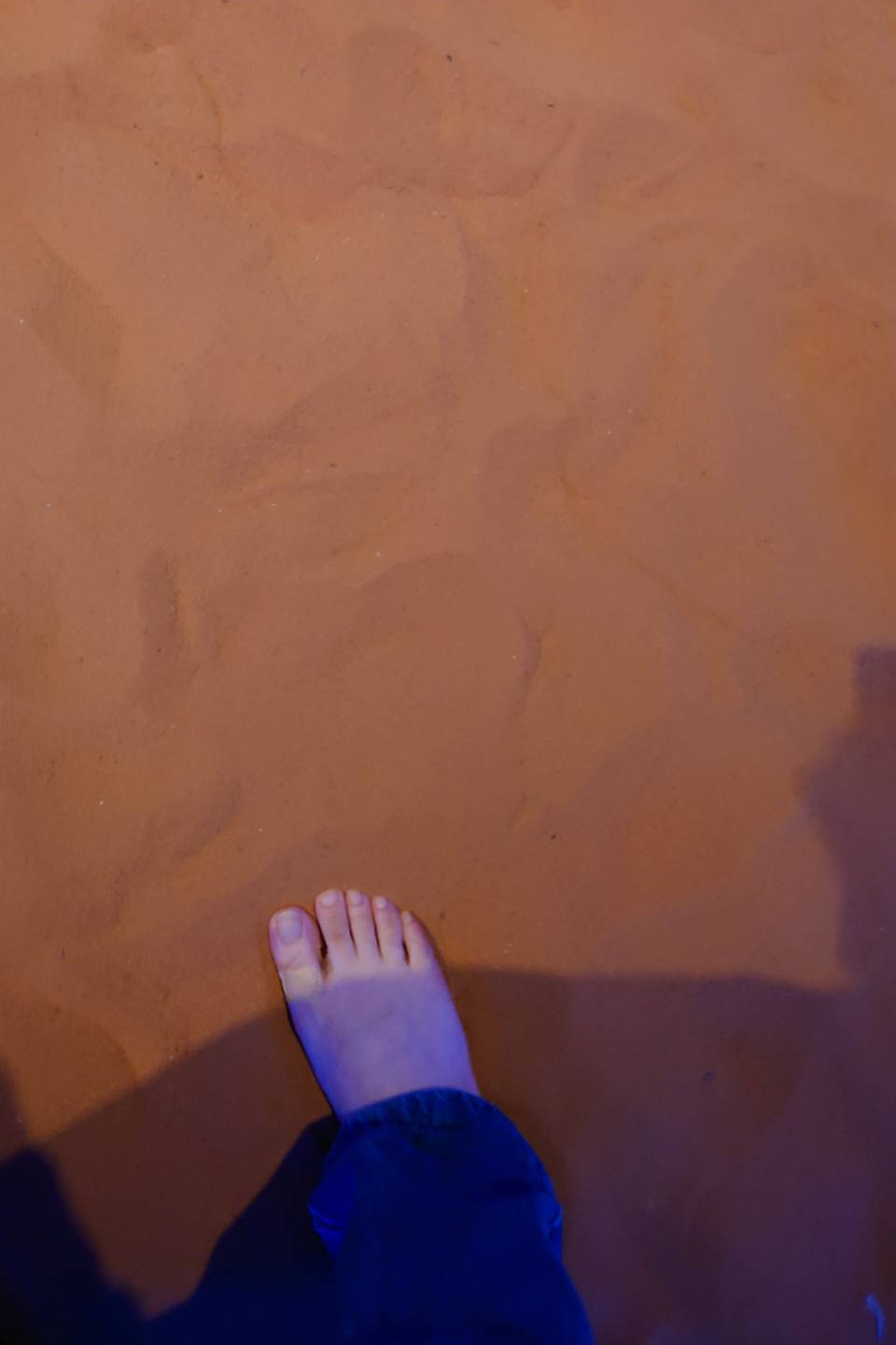 ヨルダン館の砂漠体験