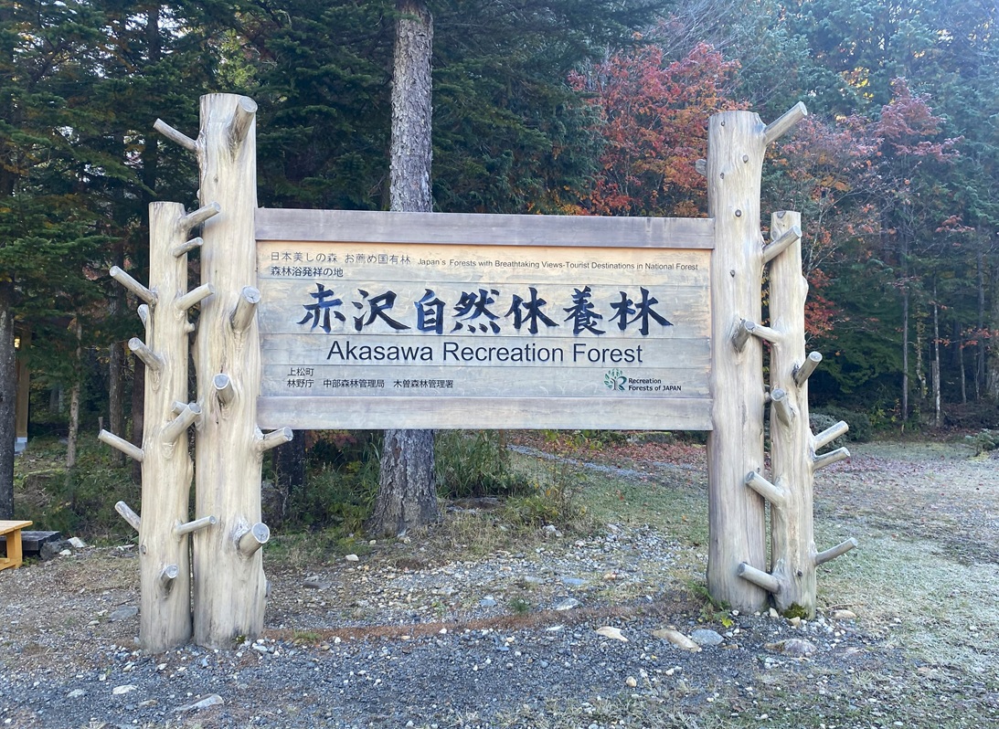 赤沢自然休養林