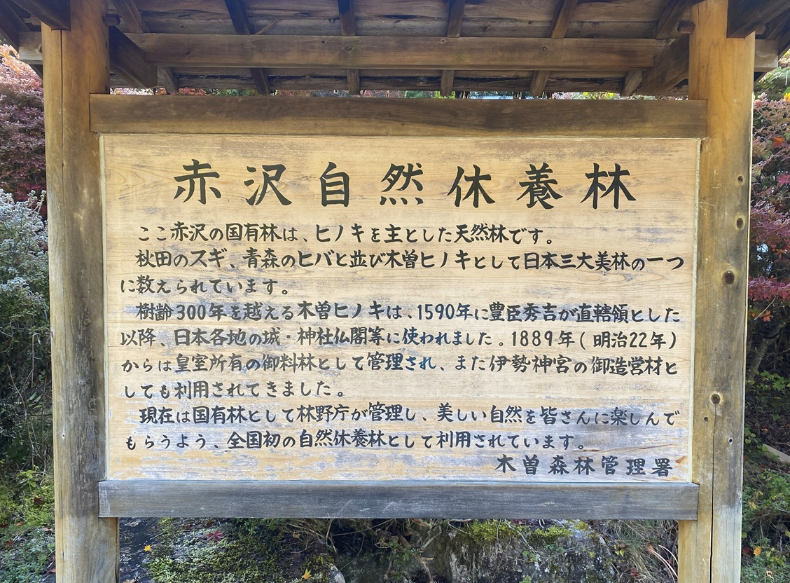 赤沢自然休養林