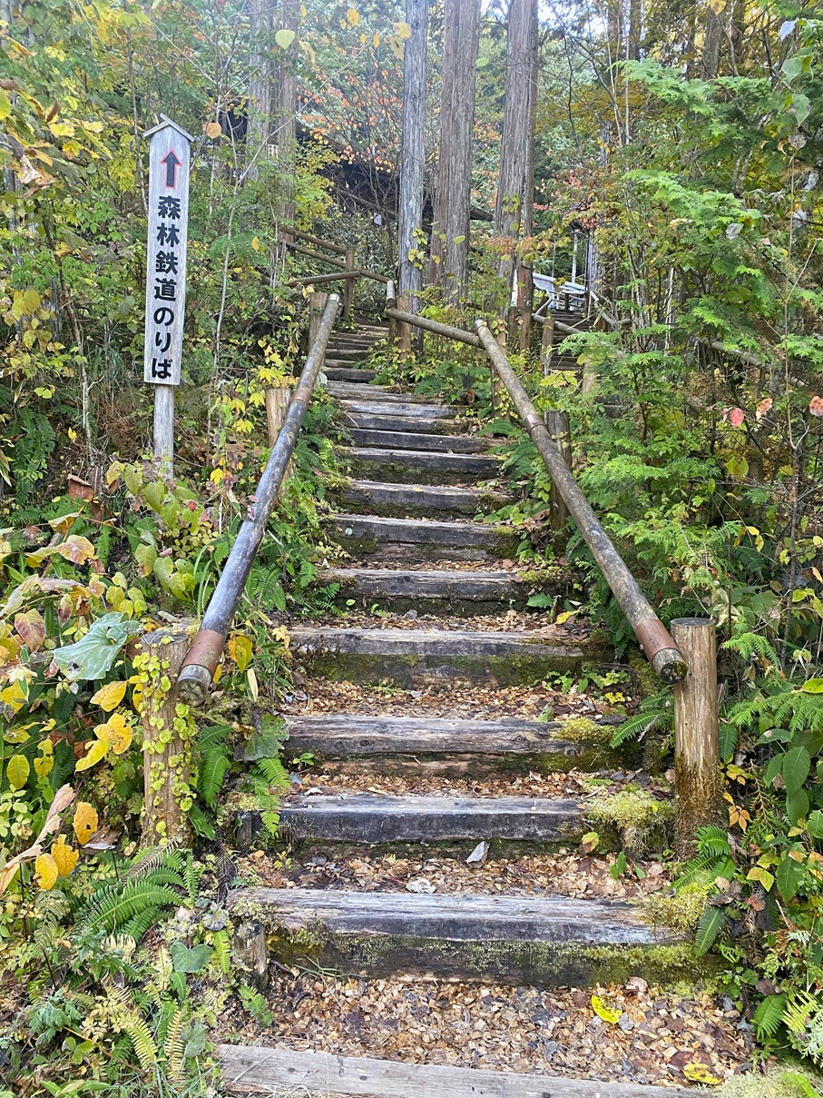 森林鉄道のりばへの道