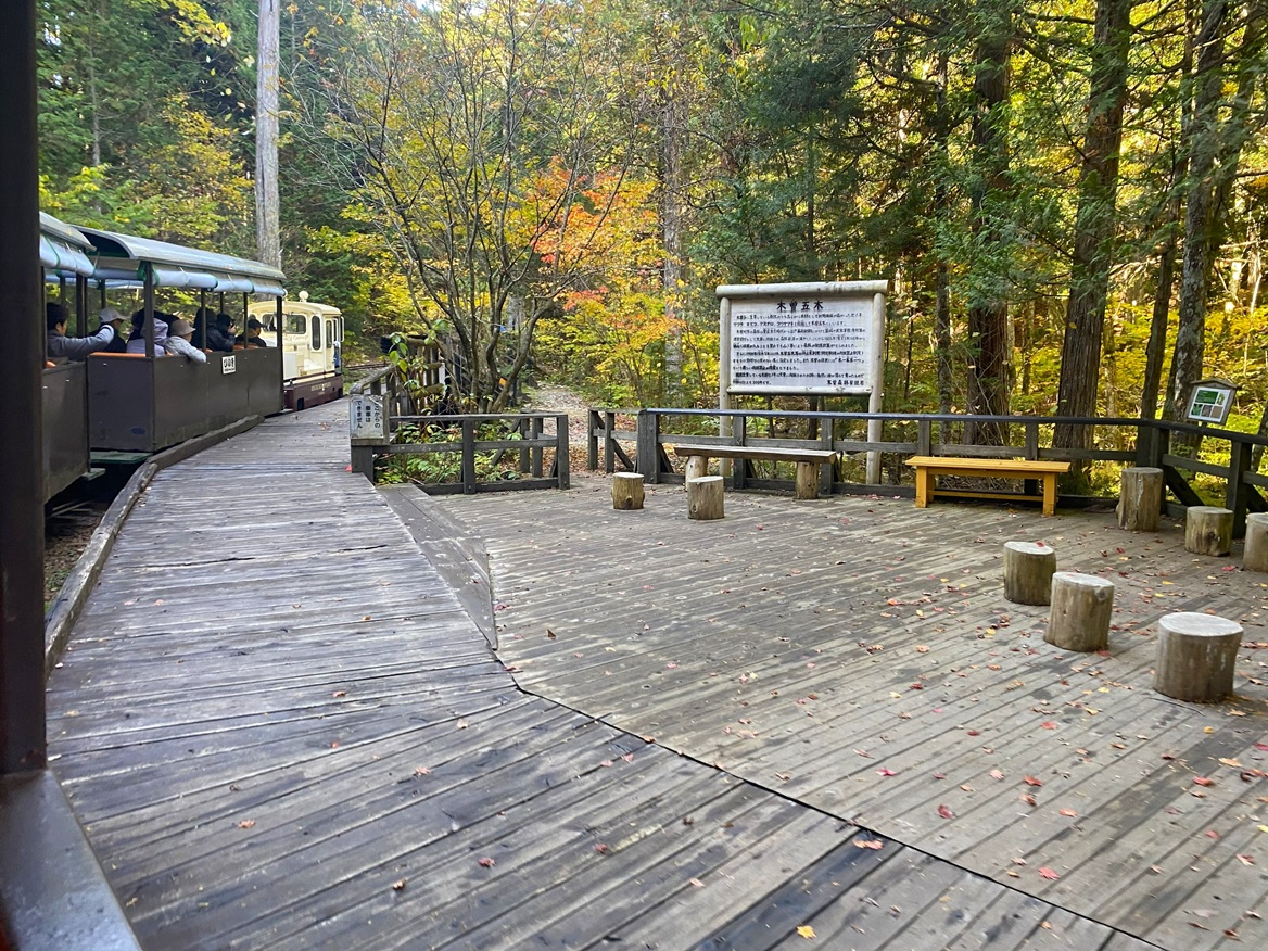 丸山渡停車場駅