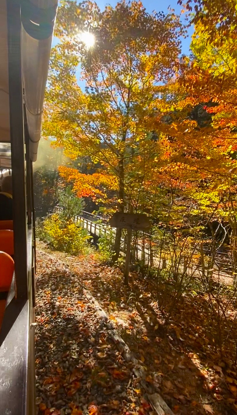 森林鉄道の車窓から