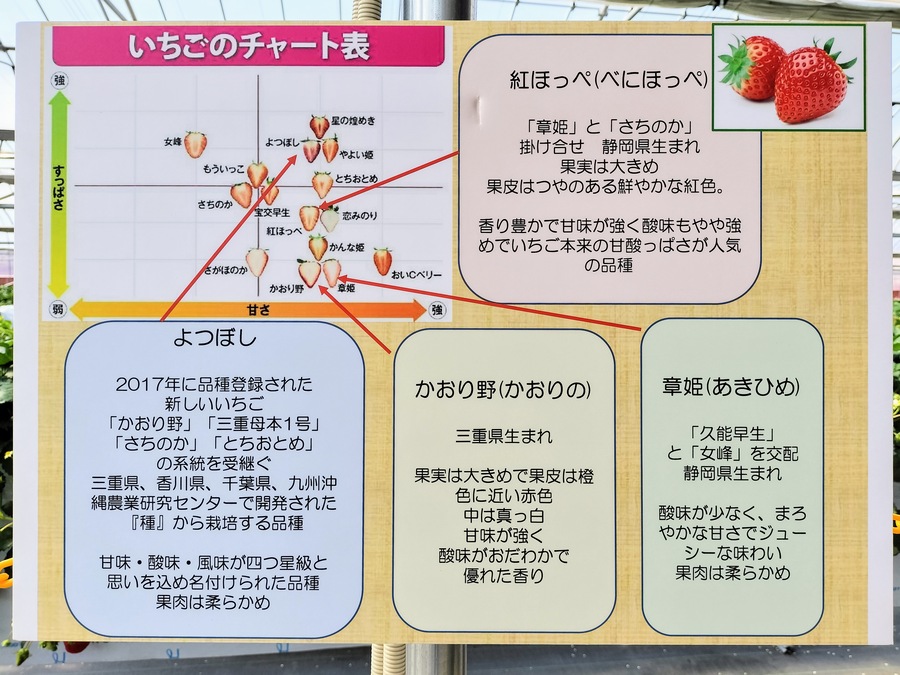 いちごのチャート表