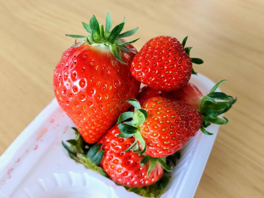摘みたてのいちご