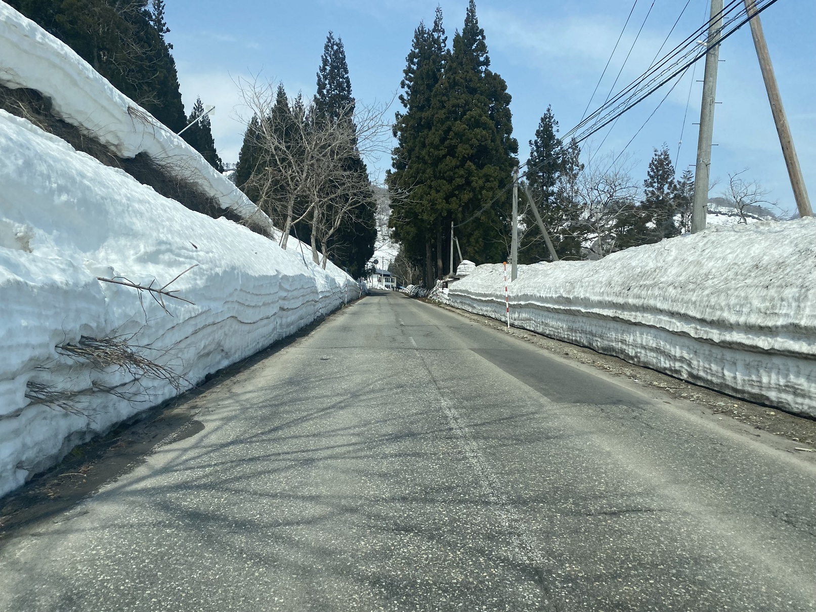 雪が残る国道252線