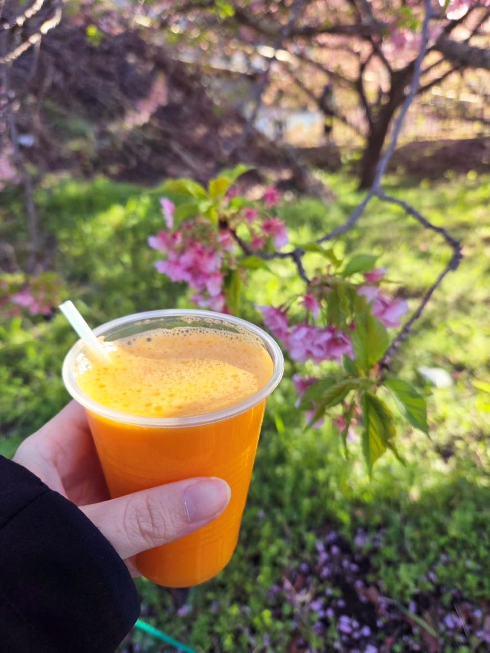 みかんジュース