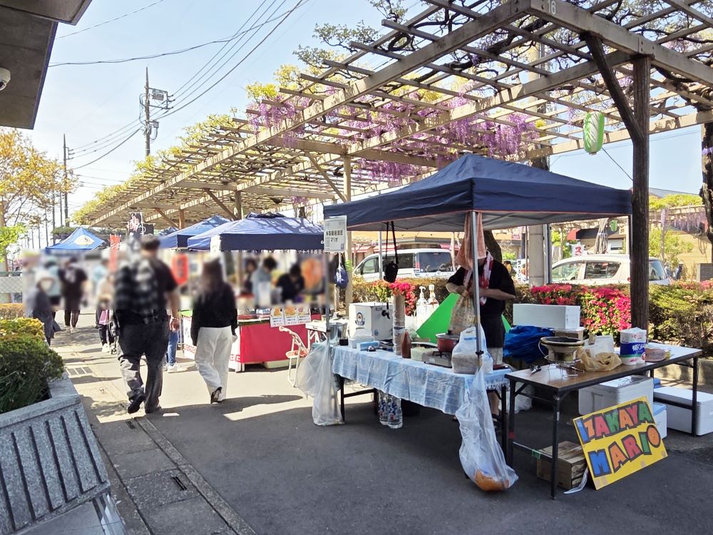 藤テラス2026の様子