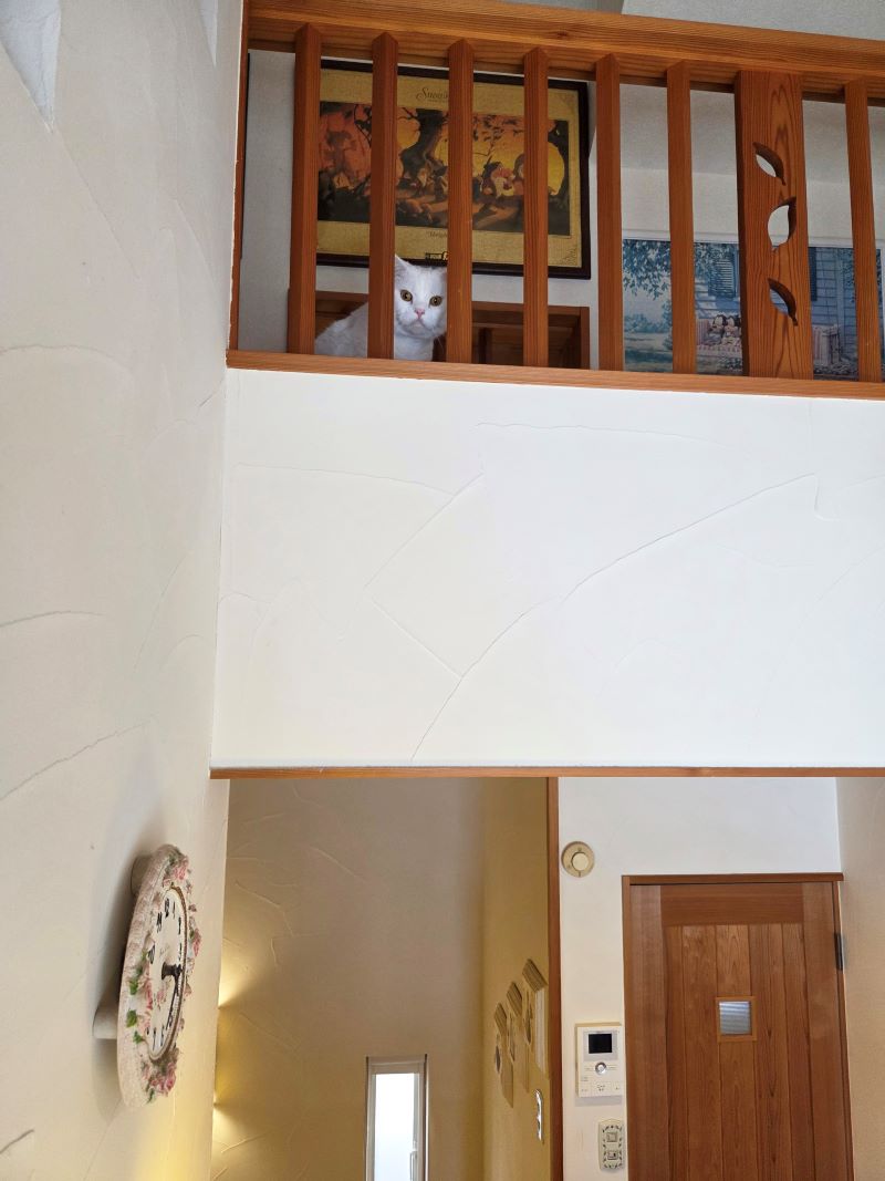 ロフトの木格子から覗く猫